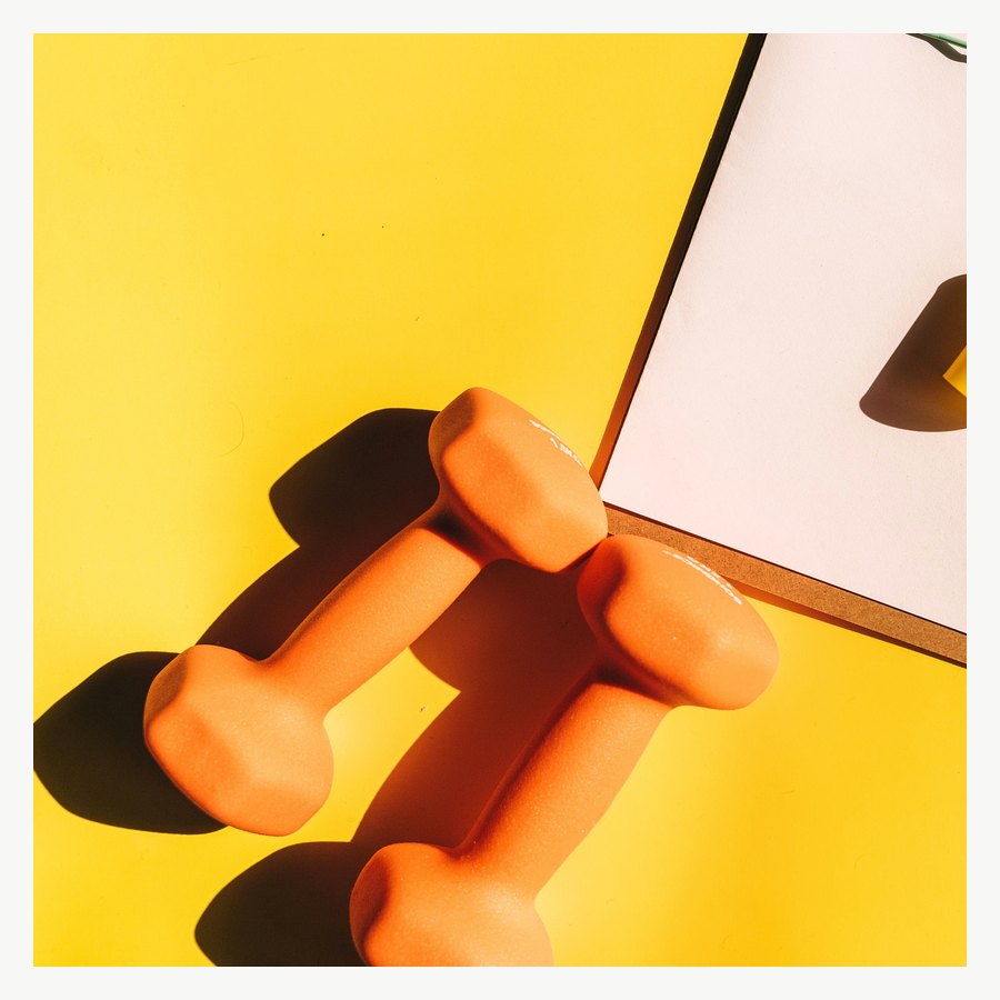 FlexFit 2kg Dumbbell Pair